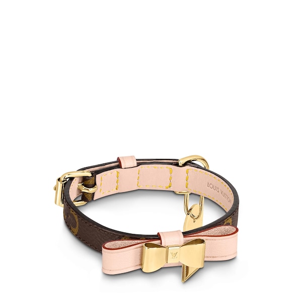 louis vuitton collar cat