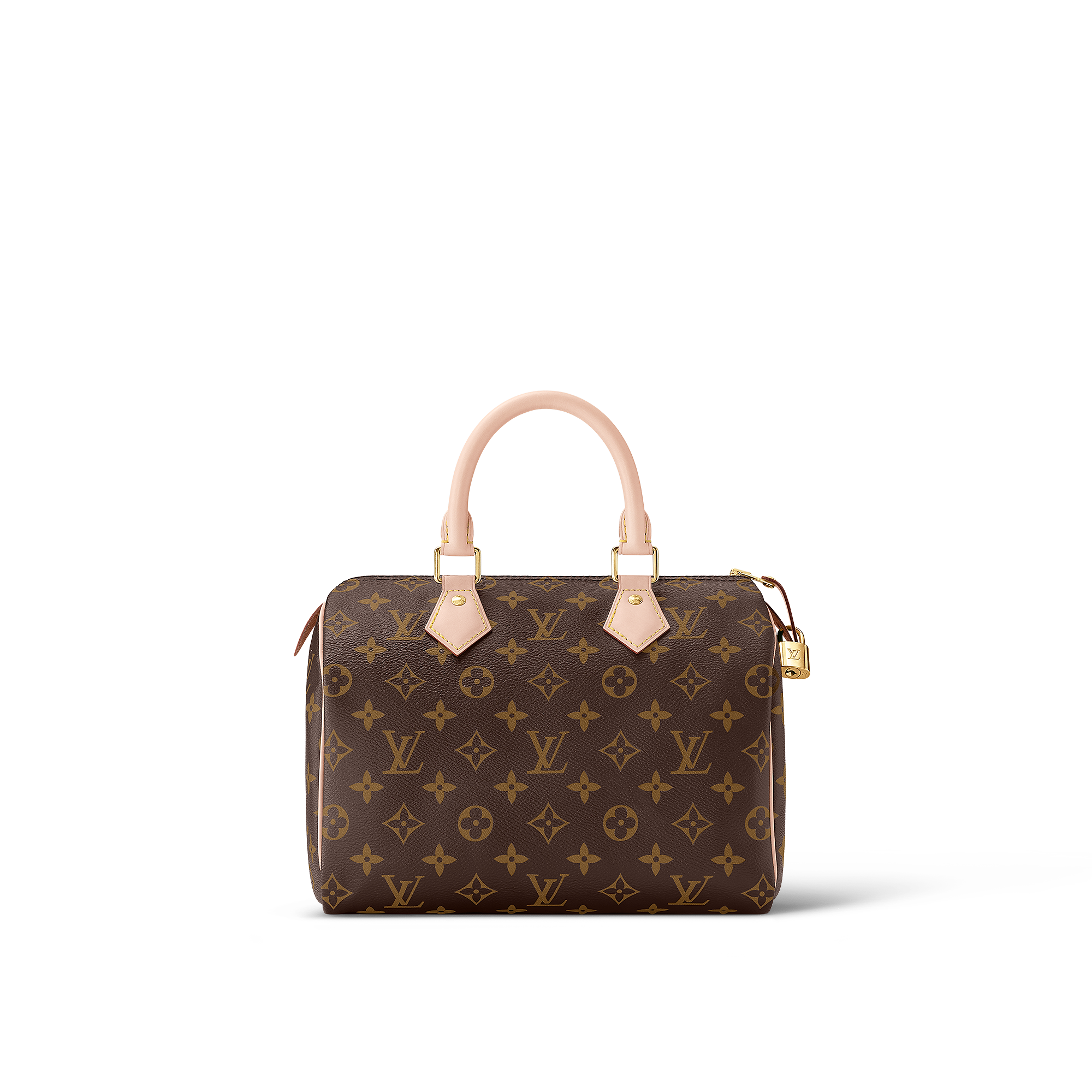 louis vuitton hand held bag