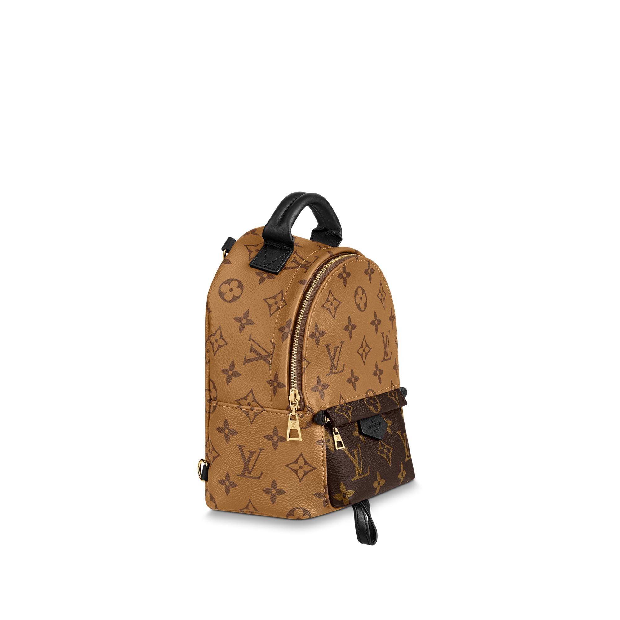 lv palm springs backpack price