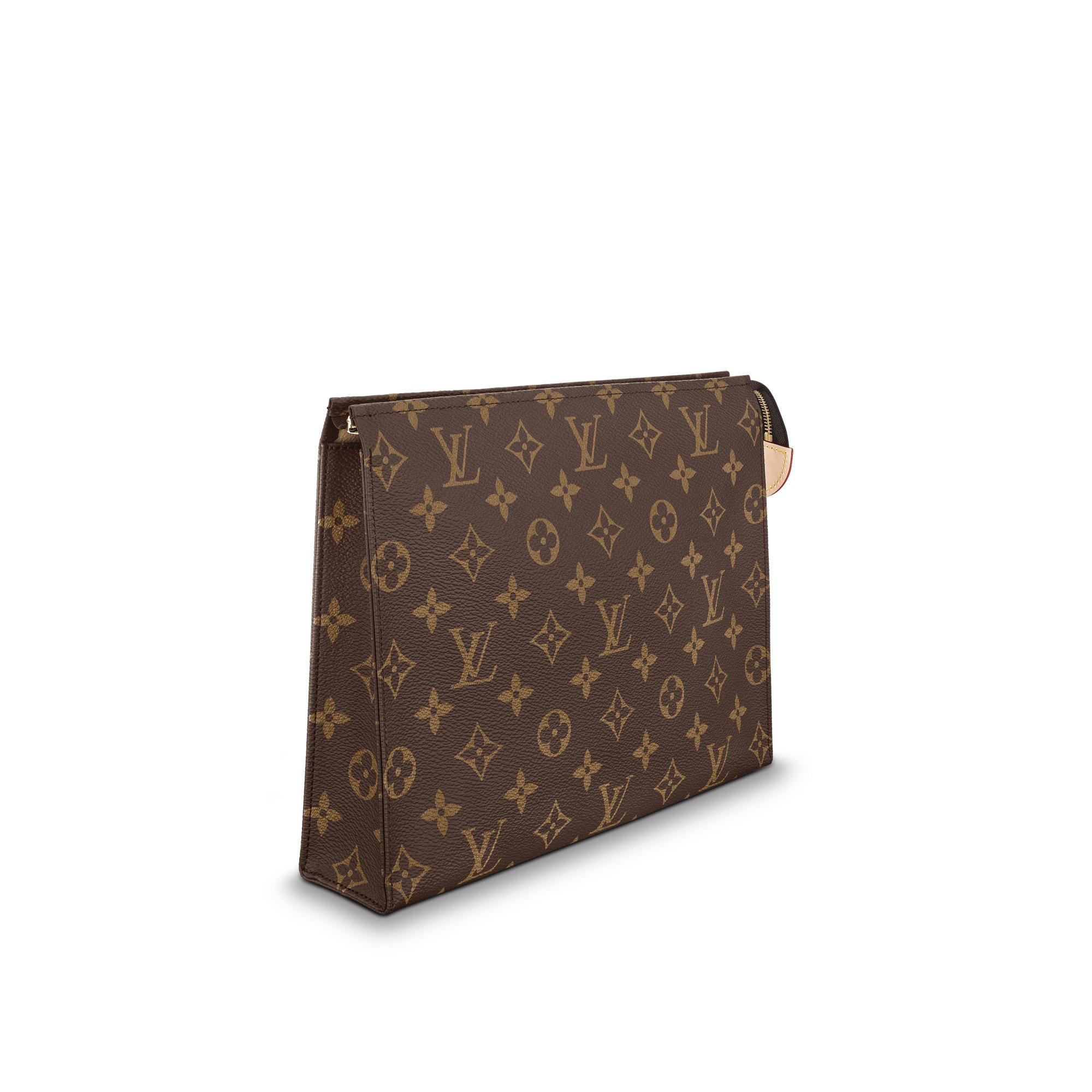 louis vuitton hand held bag