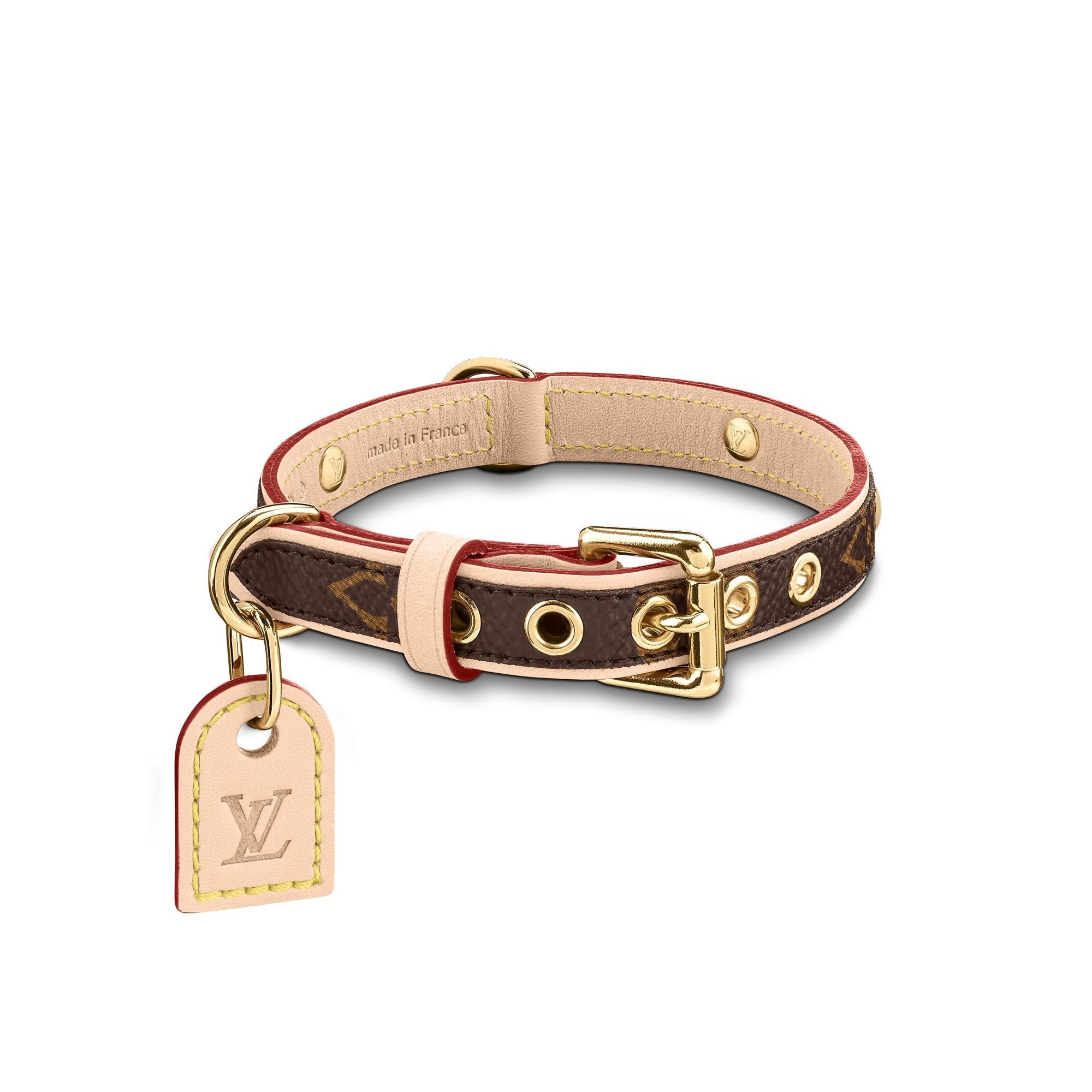 lv dog harness