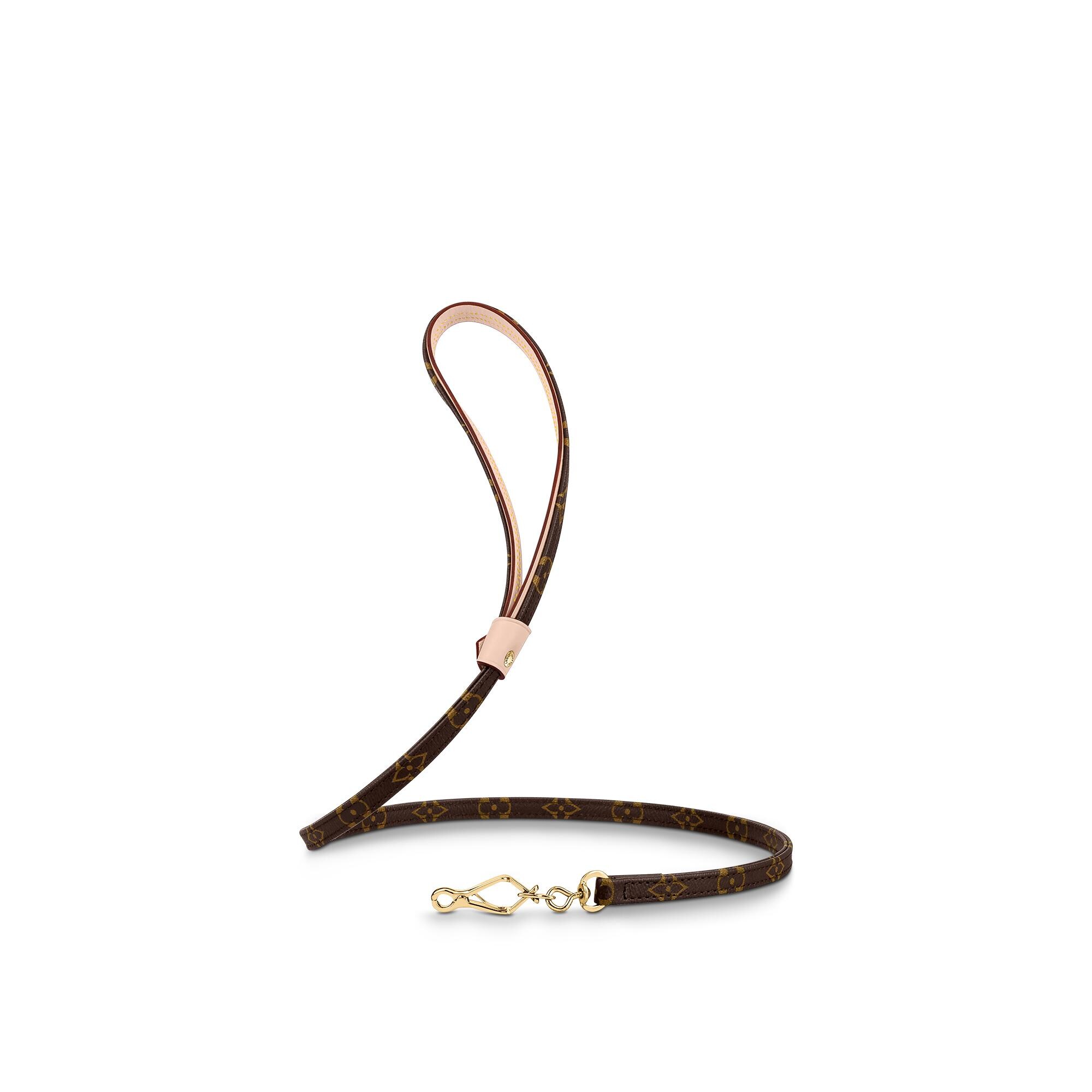 lv dog leash