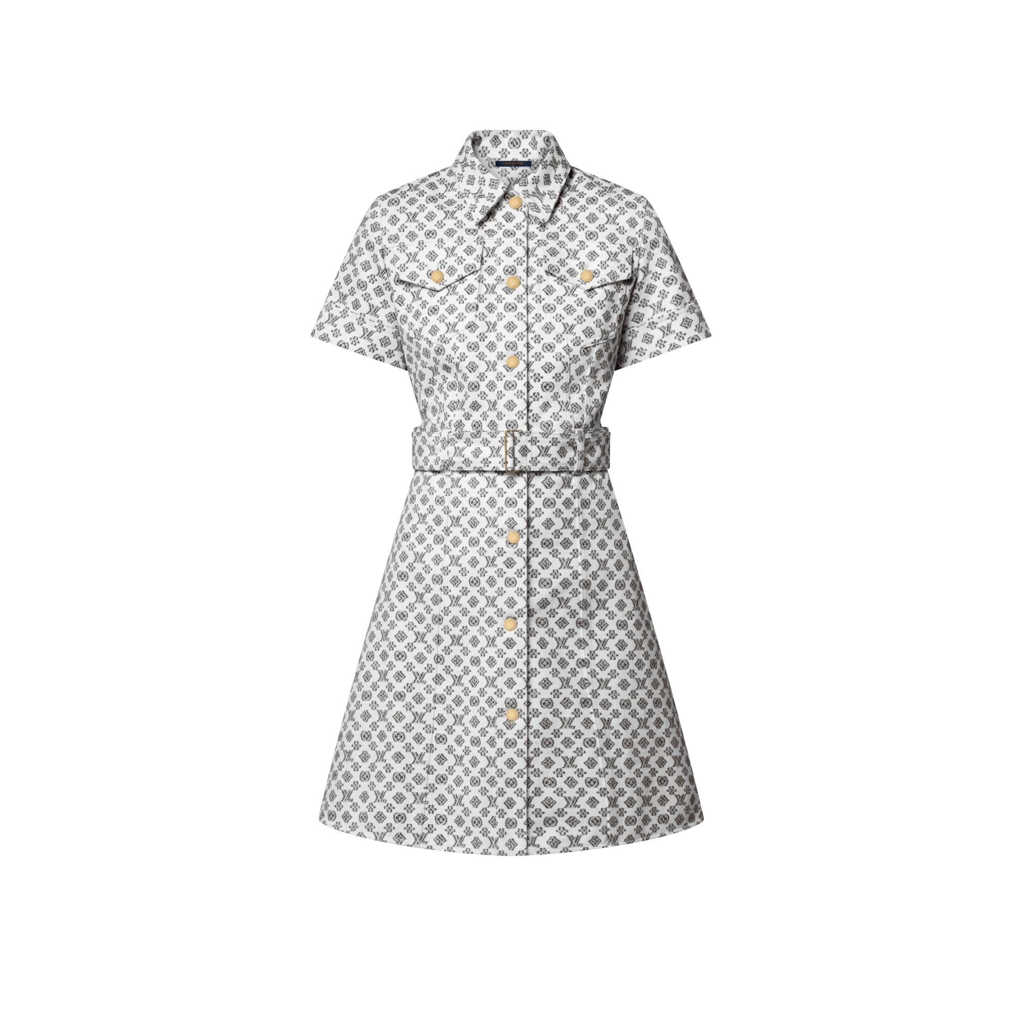 Blurry Monogram Shirt Dress  in Women