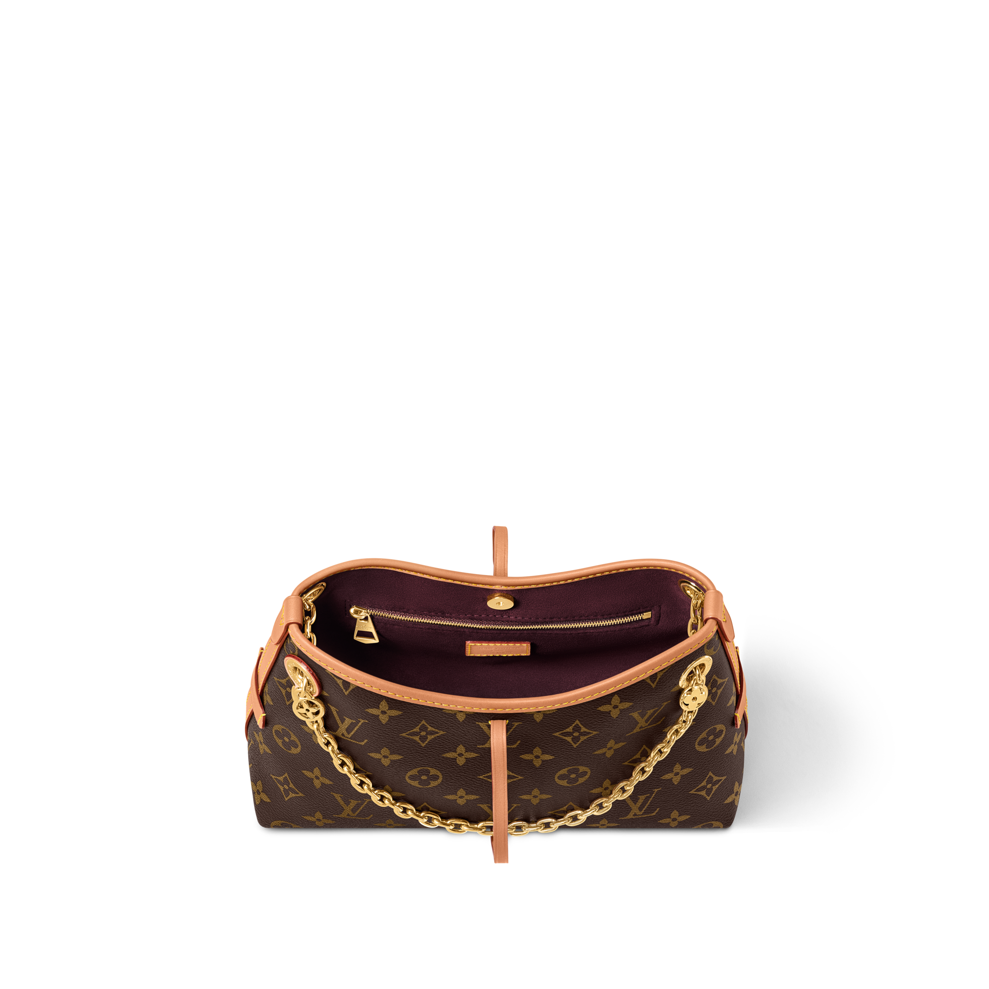 CarryAll BB Monogram Canvas in Women