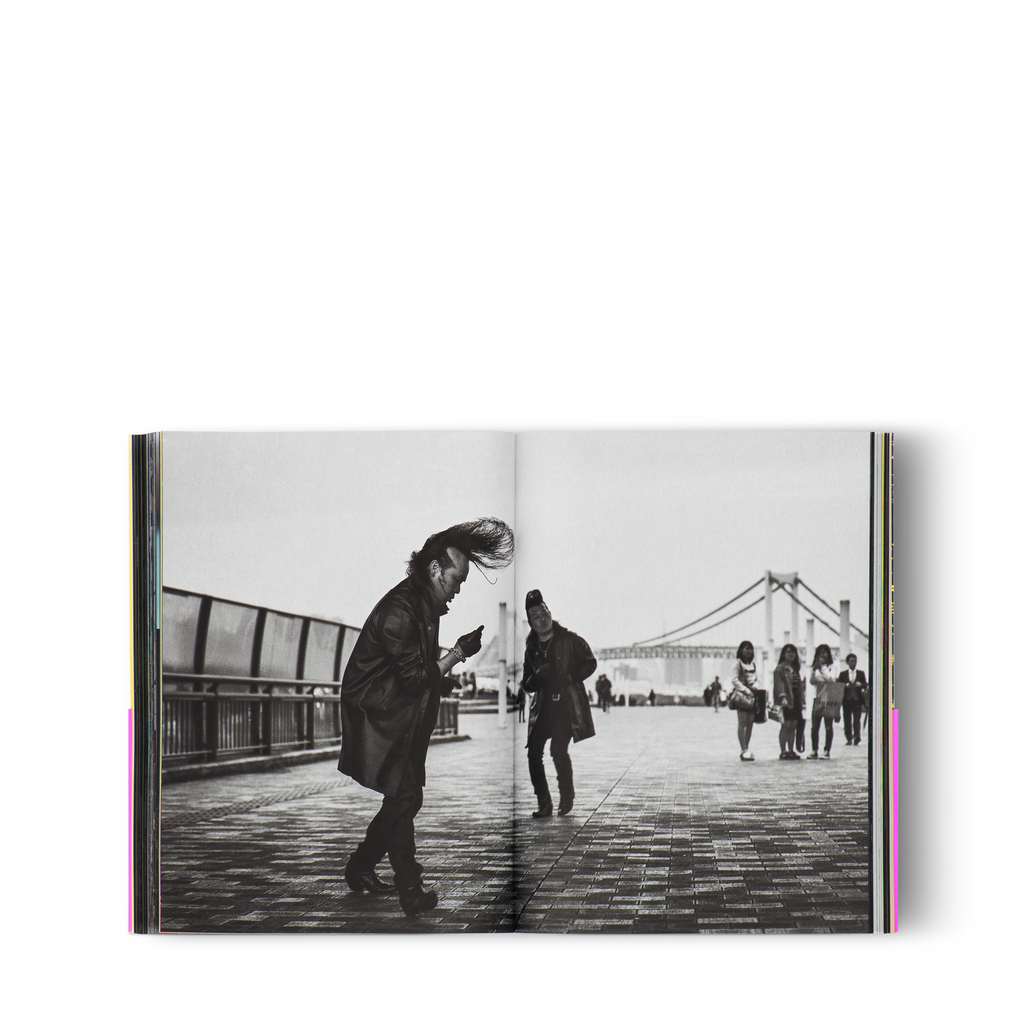 Cities On Earth  in Trunks, Travel and Home