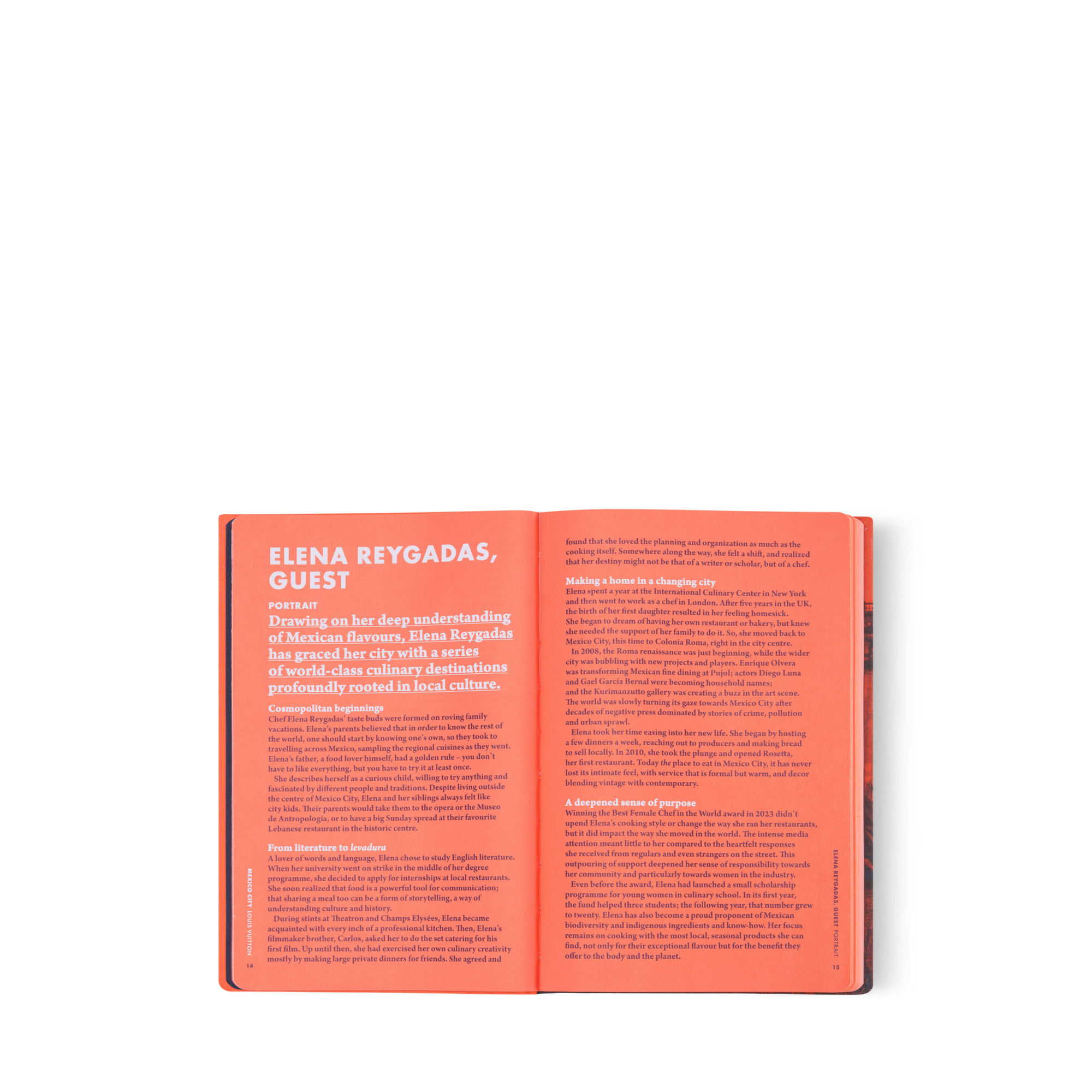 City Guide Mexico City  in Trunks, Travel and Home