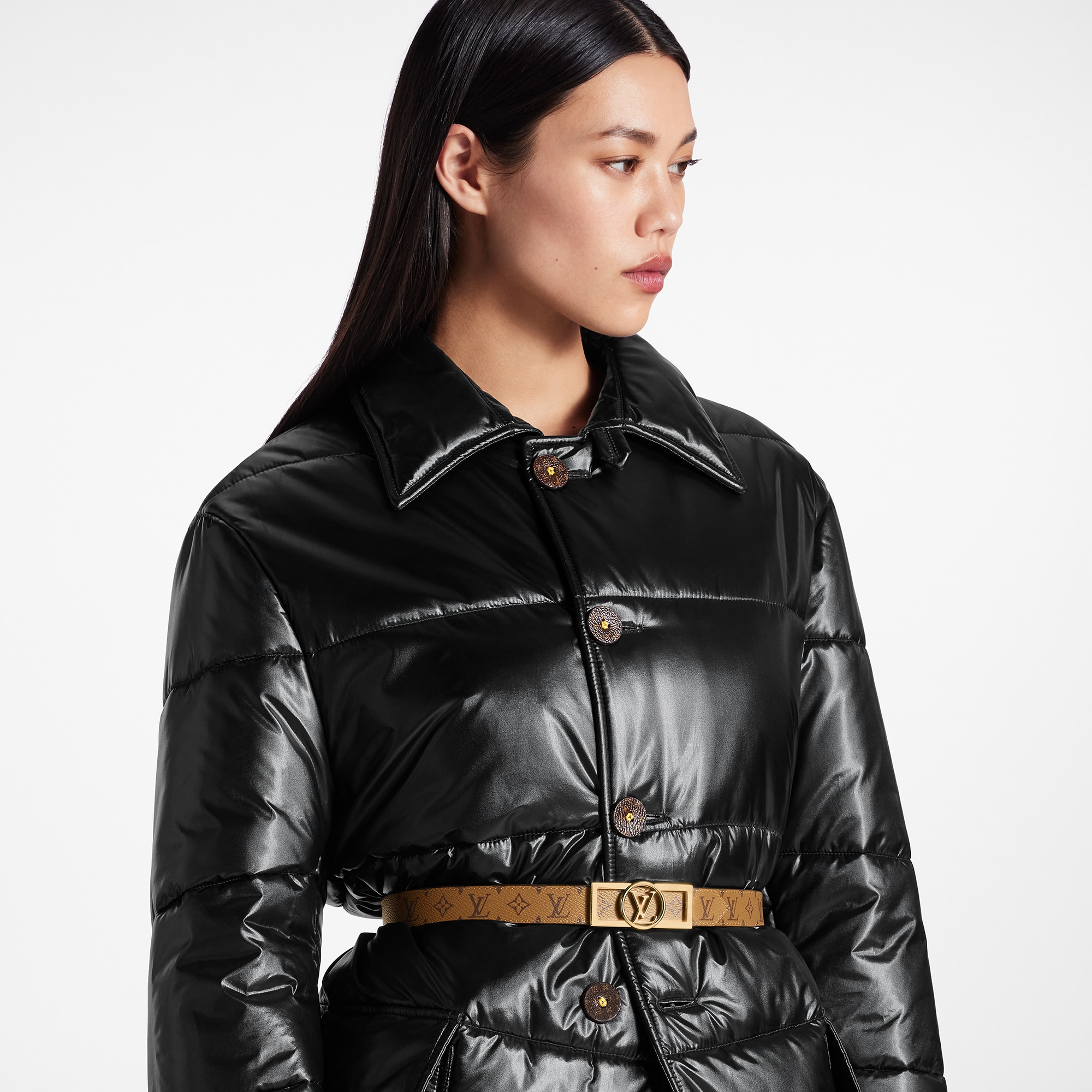 Dauphine 25mm Reversible Belt Other Monogram Canvas in Women