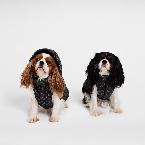 Dog Puffer Jacket XS . in Trunks, Travel and Home's Pets Accessories } collections by Louis Vuitton (Product zoom)