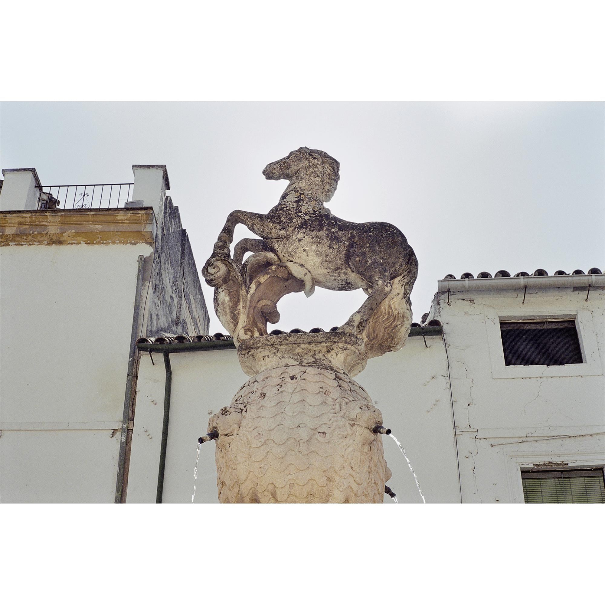 Fashion Eye Cordoba By Miles Aldridge  in Trunks, Travel and Home