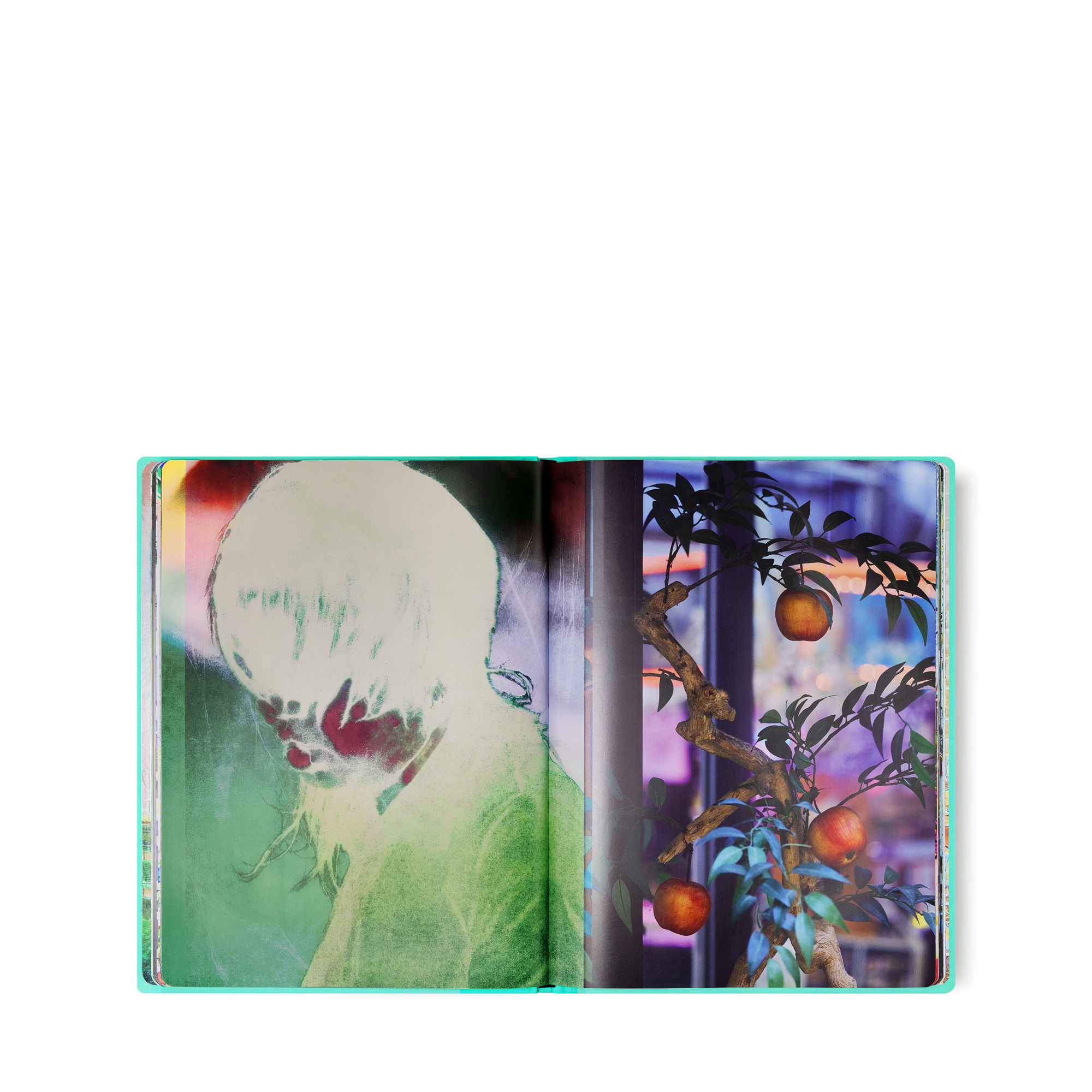 Fashion Eye Osaka  in Trunks, Travel and Home