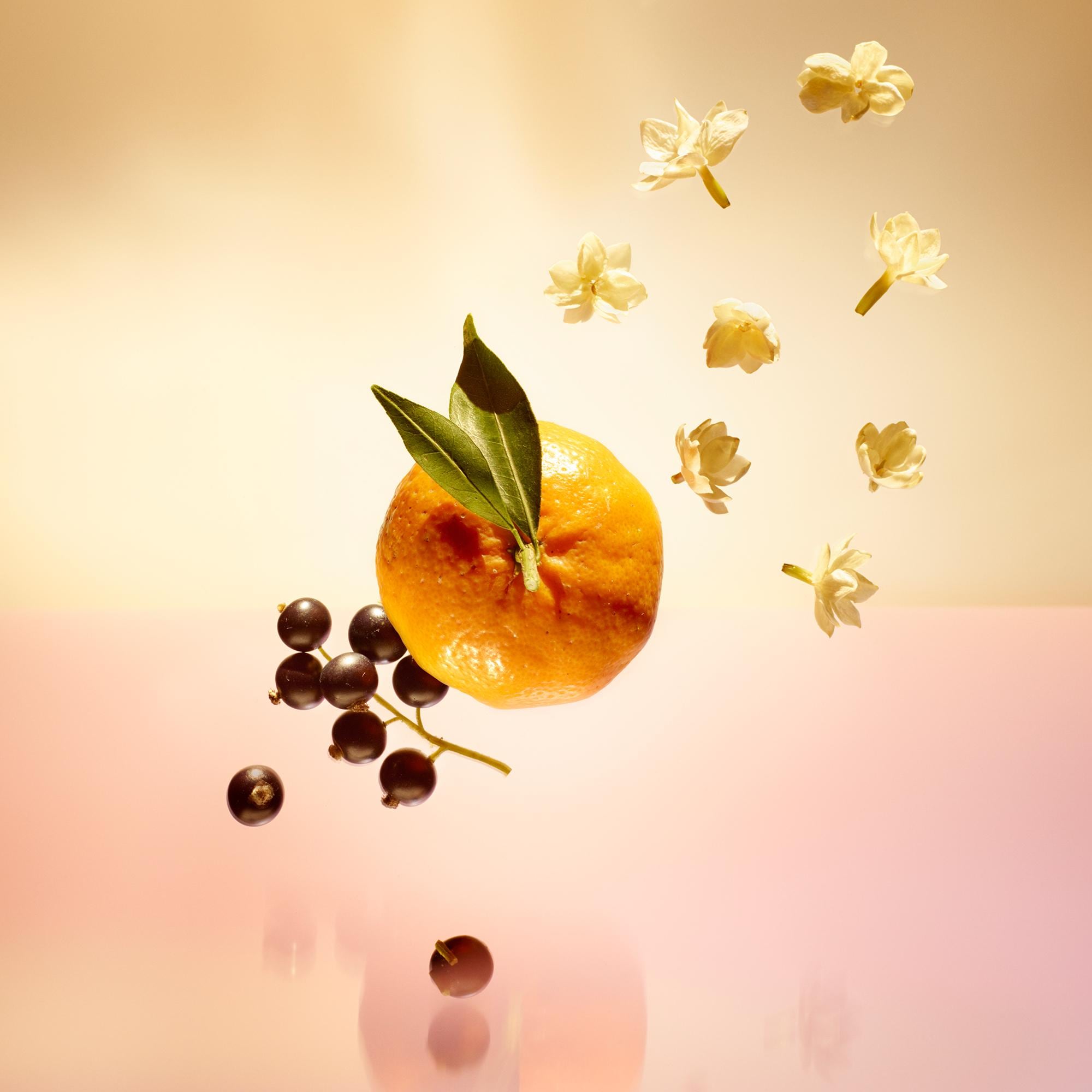 Le Jour Se Lève - Fragrances | LOUIS VUITTON