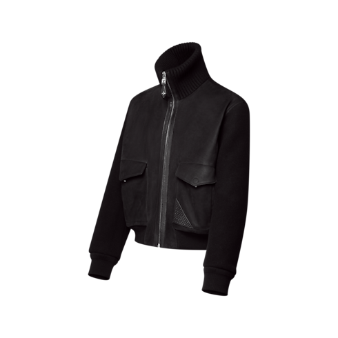 Leather Mix Blouson in Men's Ready-to-Wear All Ready-to-Wear collections by Louis Vuitton (Product zoom)
