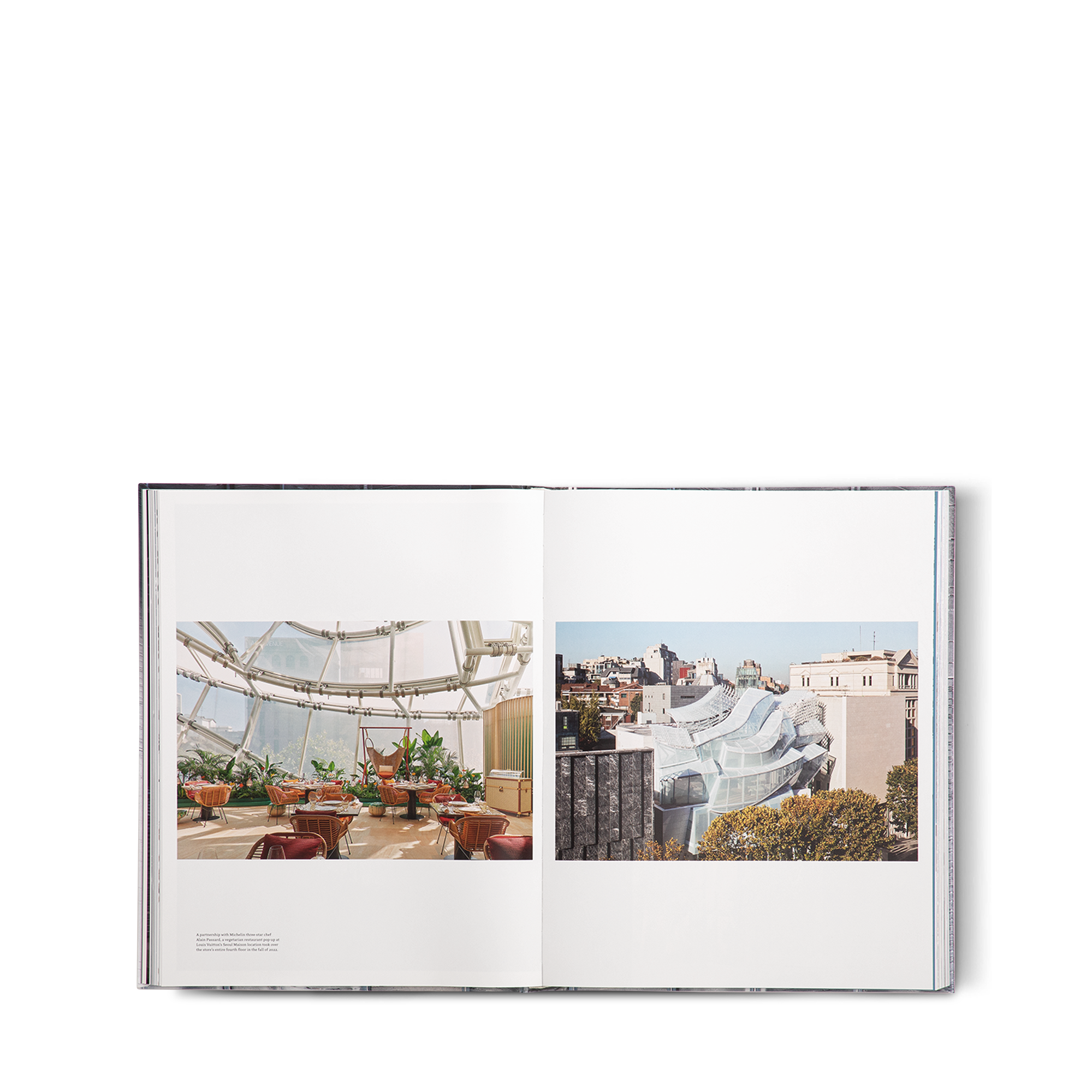 Louis Vuitton Skin: Architecture of Luxury Singapore  in Trunks, Travel and Home