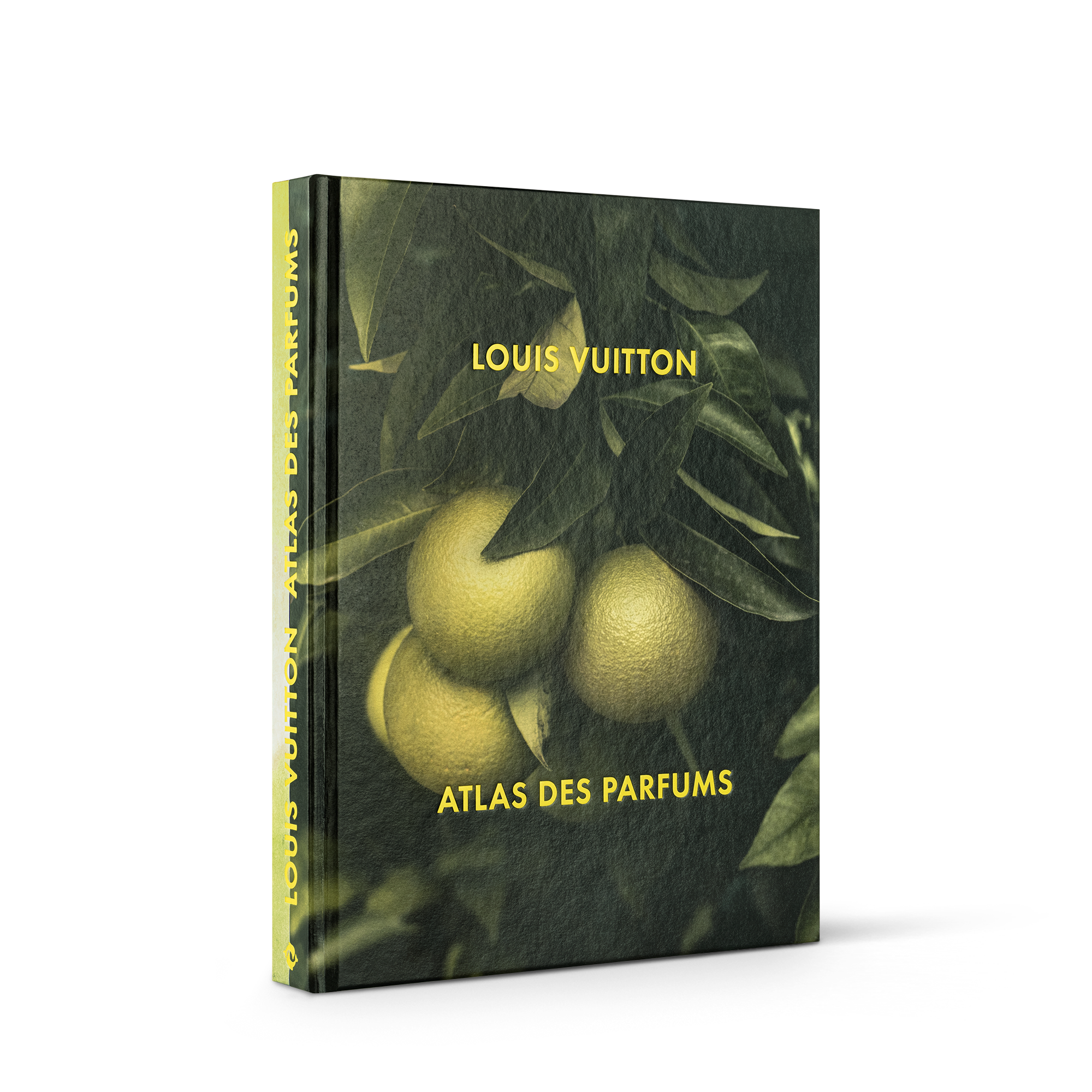 Louis Vuitton: A Perfume Atlas, French Version  in Trunks, Travel and Home