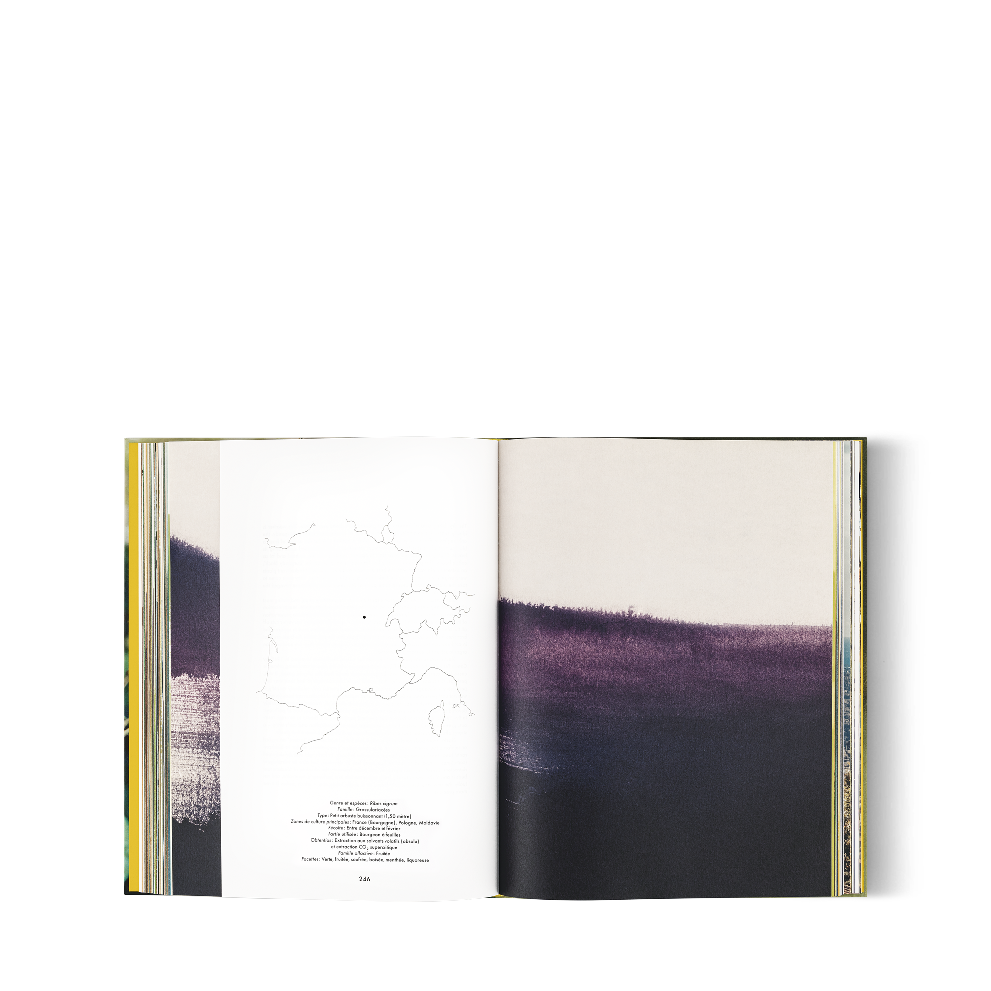 Louis Vuitton: A Perfume Atlas, French Version  in Trunks, Travel and Home