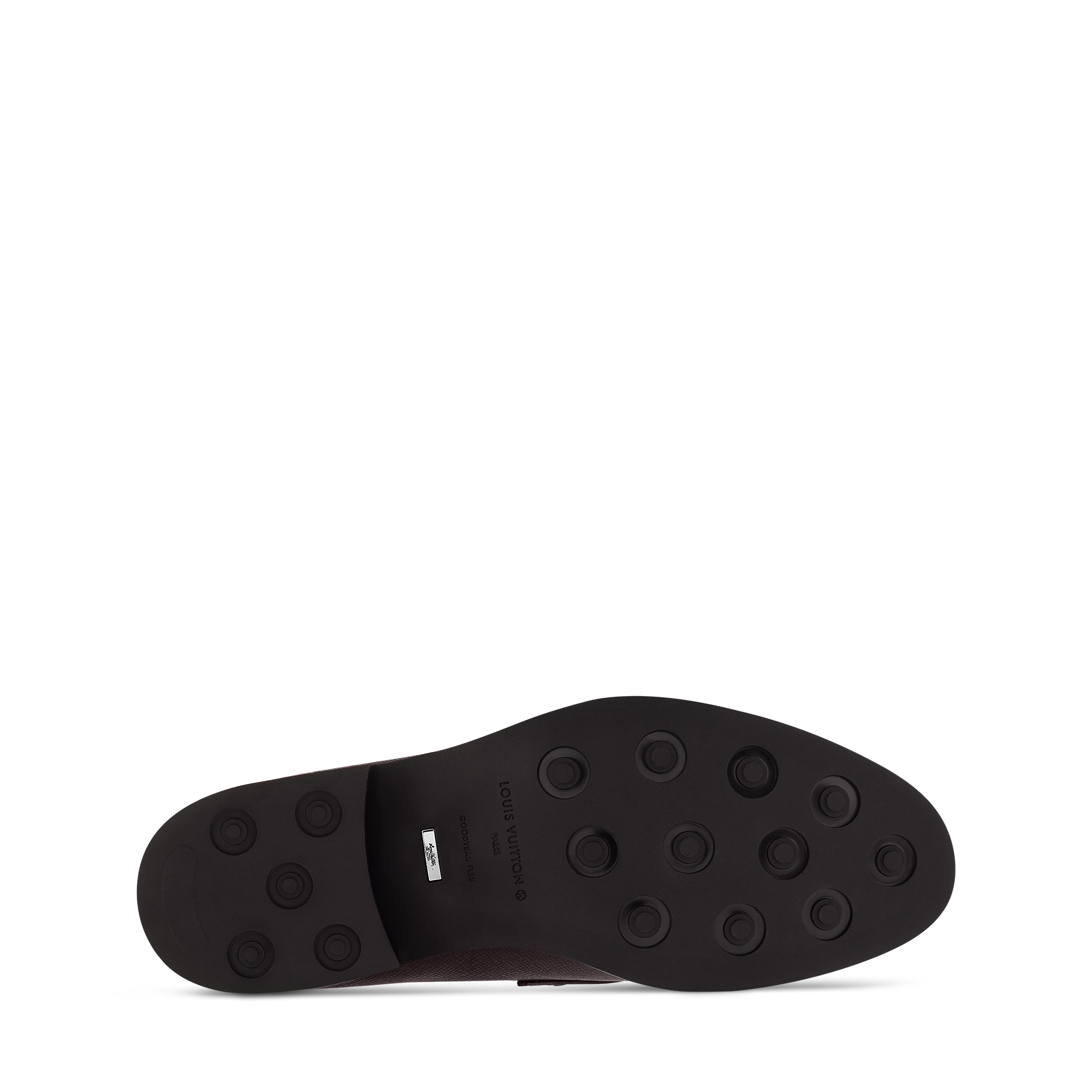 LV Flex Loafer  in Men