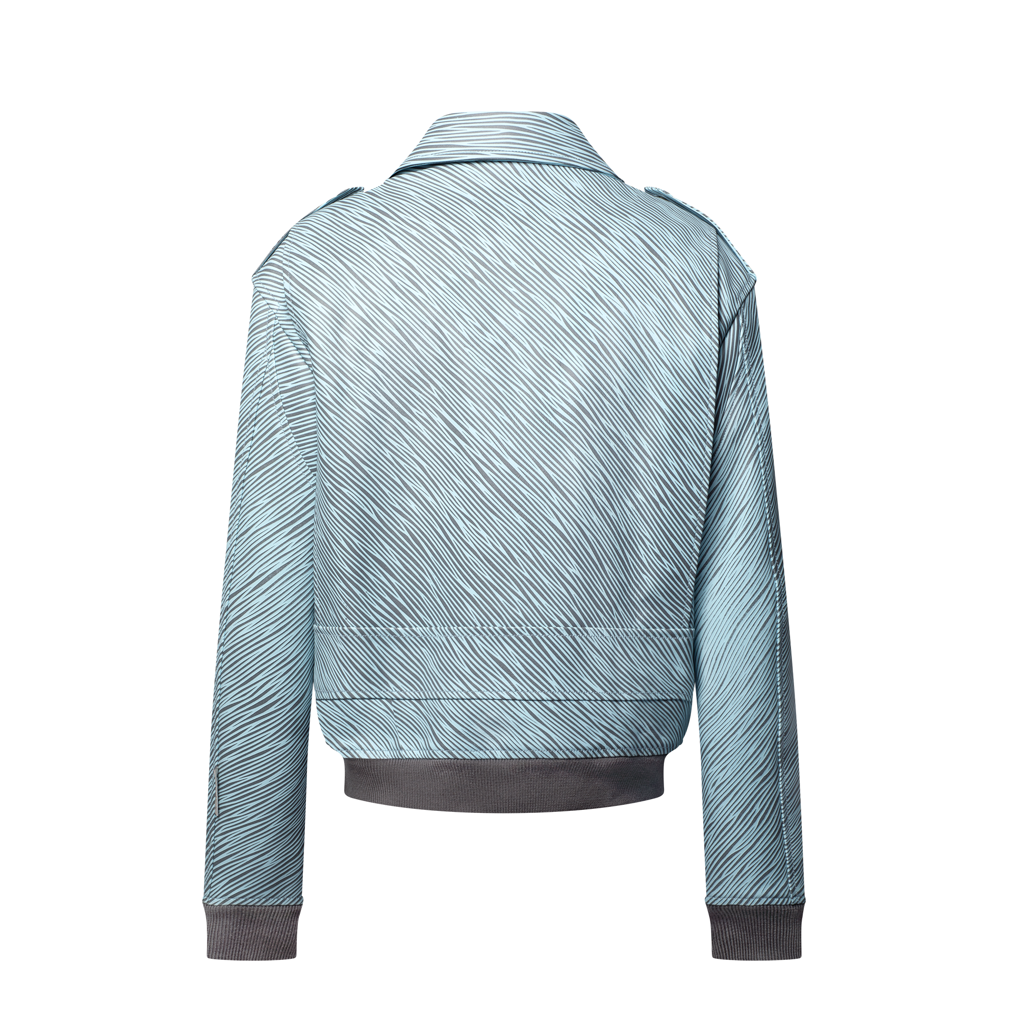 LV x Park Seo-Bo Epi Leather Flight Jacket  in Men