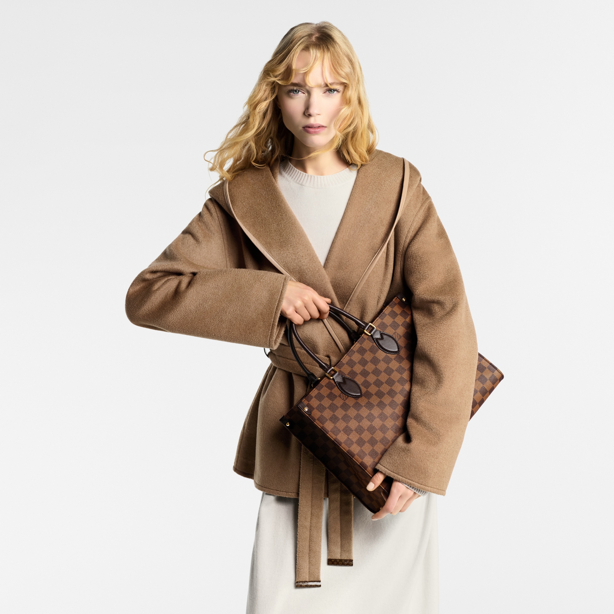 OnTheGo MM Damier Ebène Canvas in Bags and Small Leather Goods