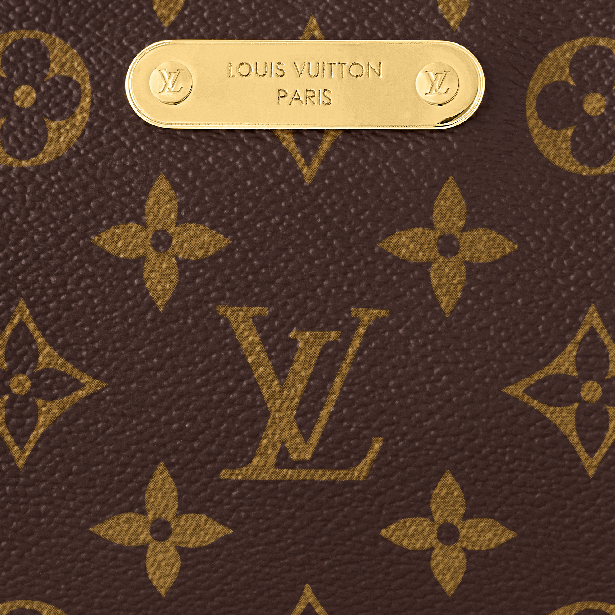 Pochette Liv Monogram Canvas in Women
