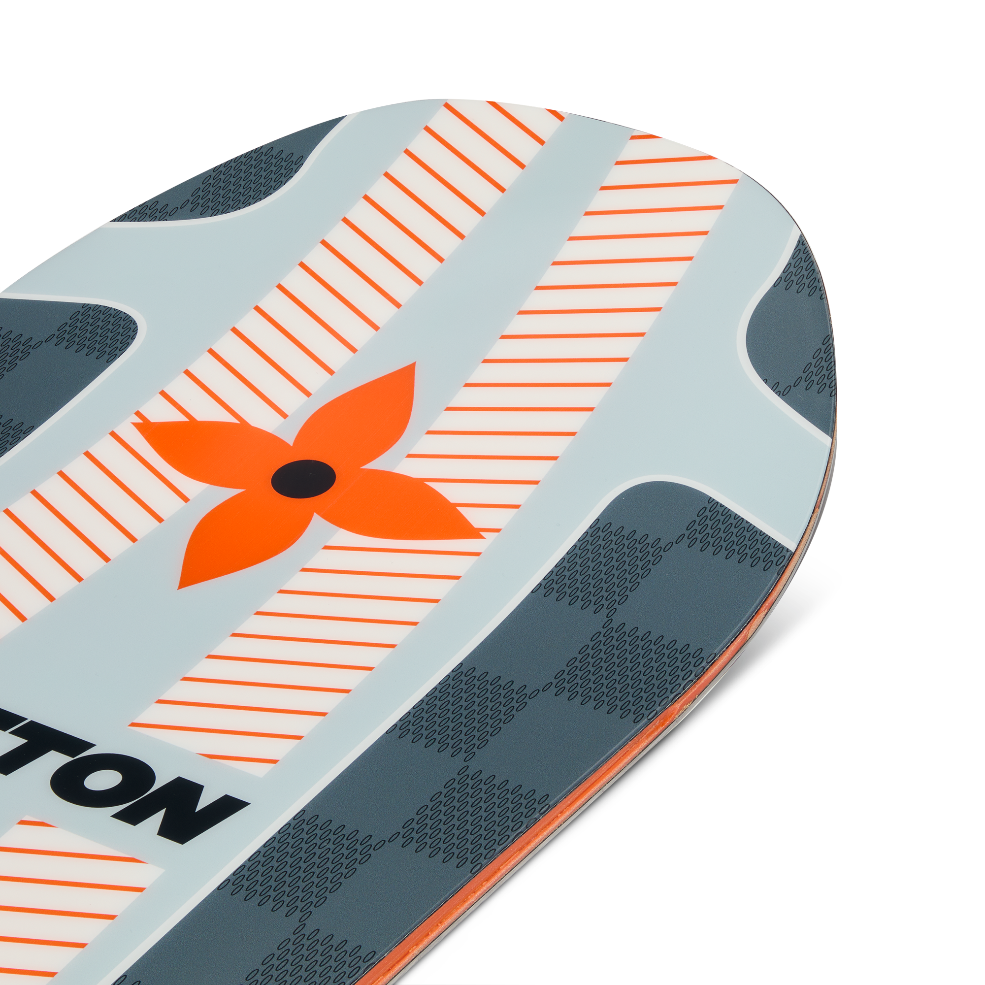 Snowboard  in Trunks, Travel and Home