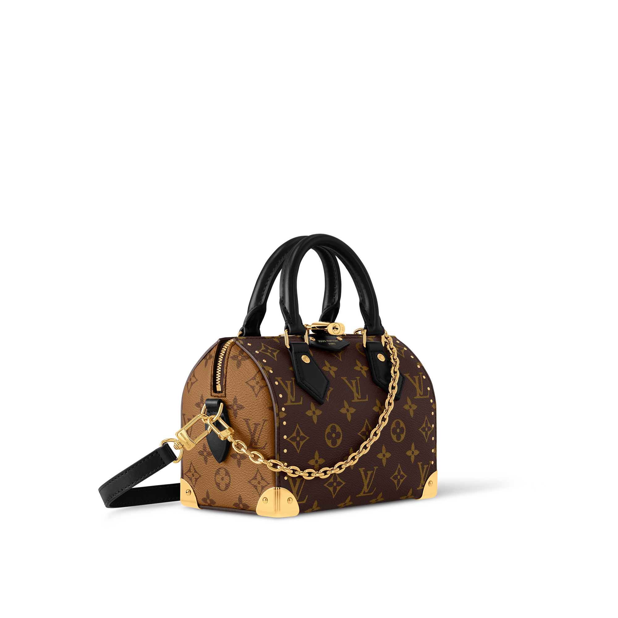 Speedy Trunk 20 Monogram Canvas in Women