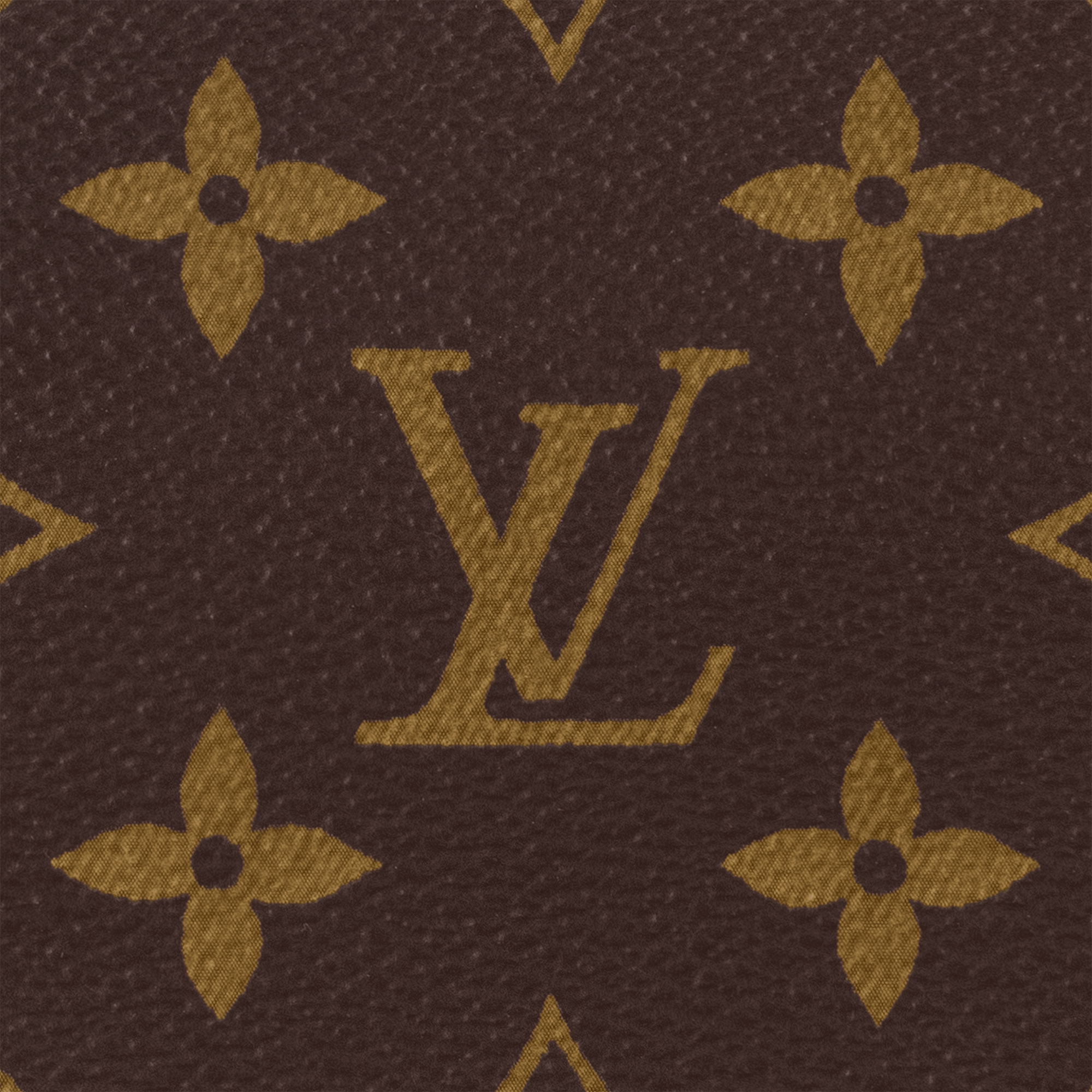 Speedy Trunk 20 Monogram Monogram Canvas in Les Extraordinaires
