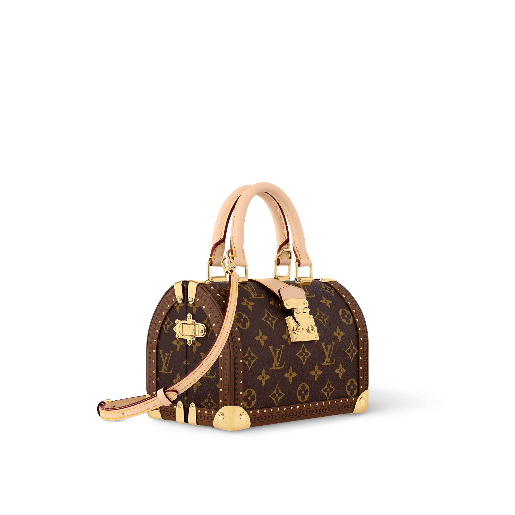 Speedy Trunk 20 Monogram Monogram Canvas in Les Extraordinaires