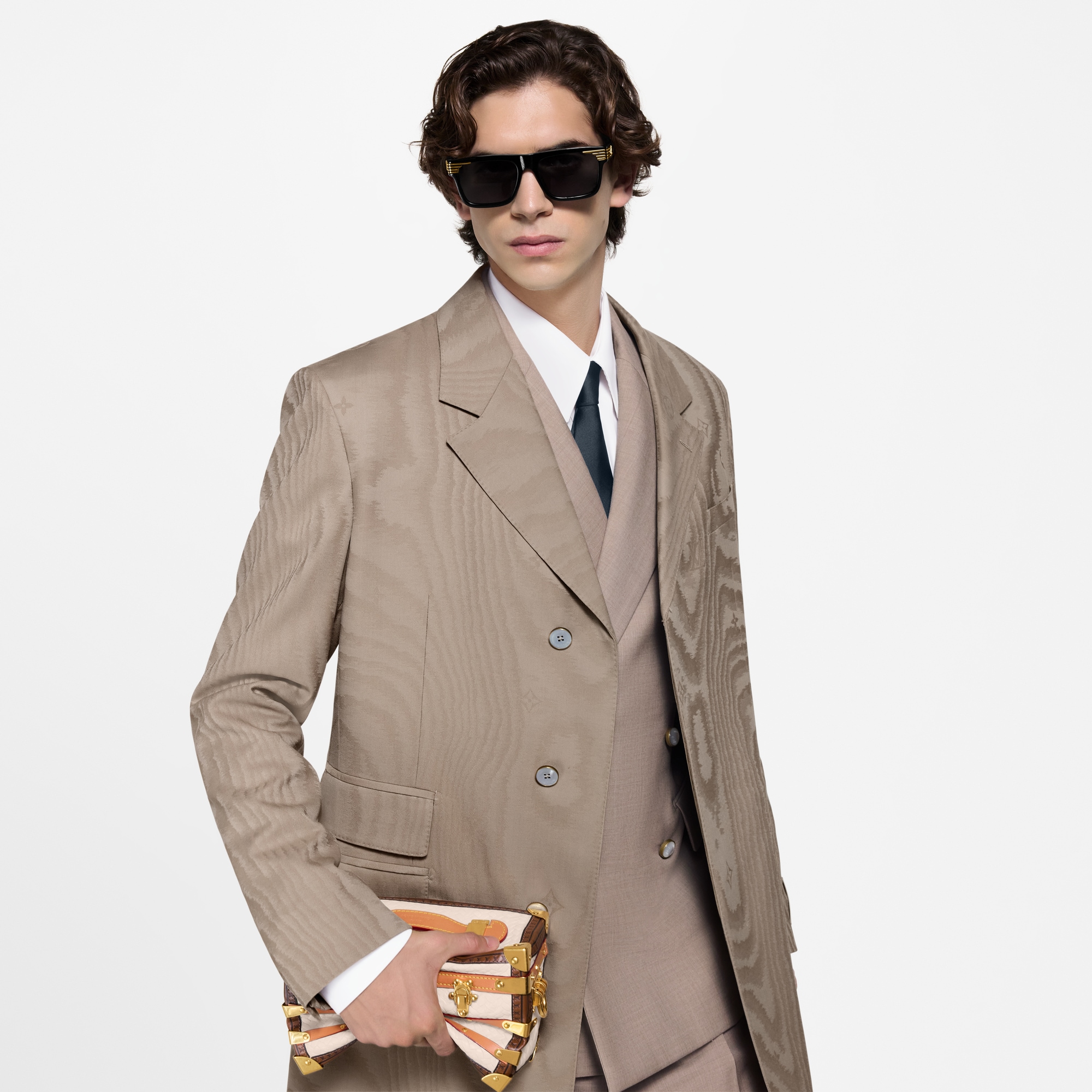 Squeeze Trunk Monogram Other Canvas in Bags and Small Leather Goods