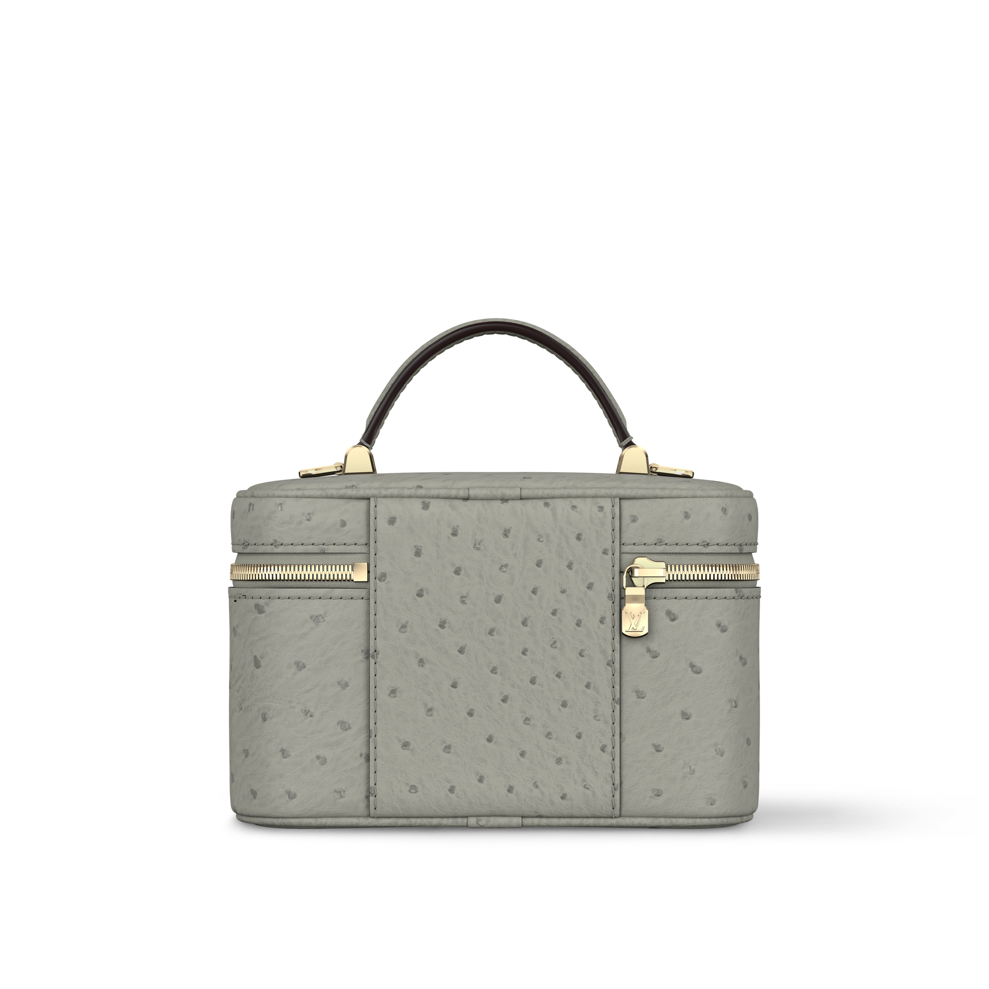 Vanity Chain Pouch Ostrich Leather in Women