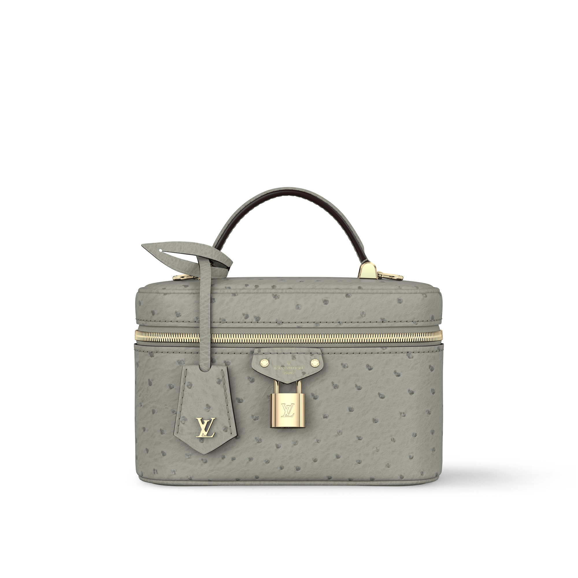 Vanity Chain Pouch Ostrich Leather in Women